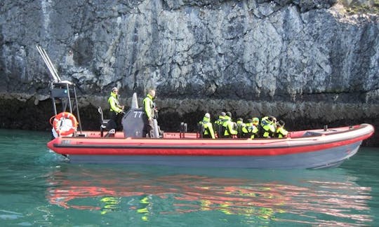 Excursion d'observation des baleines à Húsavík