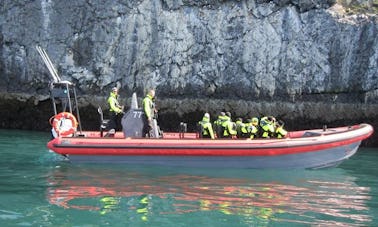 Whale Watching Tour in Húsavík