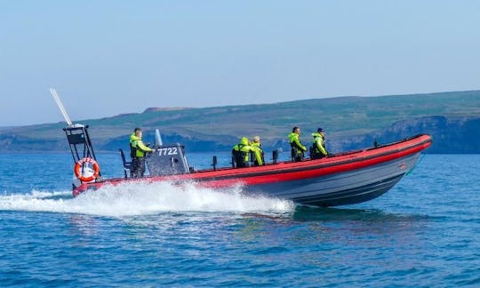 Whale Watching Tour in Húsavík