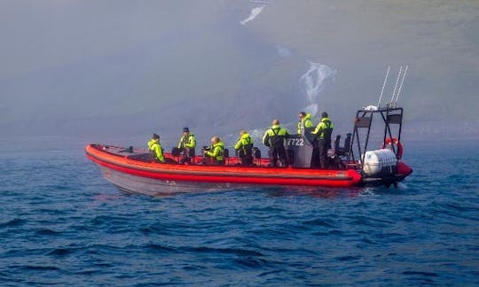 Excursion d'observation des baleines à Húsavík