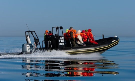 RIB (8 personas) en Rohuneeme y la bahía de Tallin