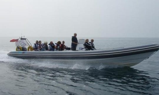 (12 Pax) RIB in Rohuneeme and Tallinn bay