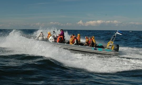 (12 Pax) RIB in Rohuneeme and Tallinn bay