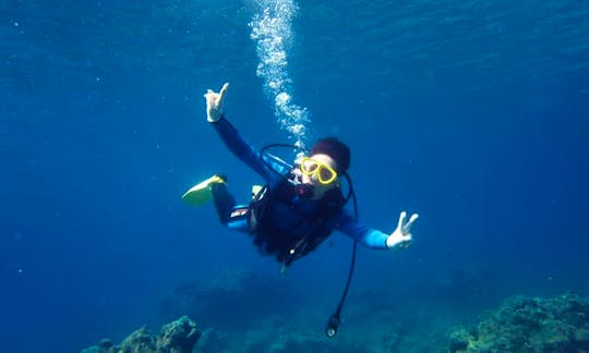 Diving in Yakushima-chō