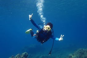 Diving in Yakushima-chō