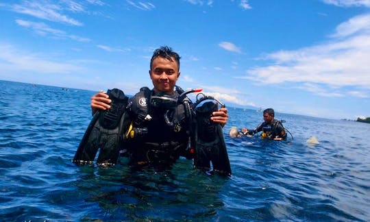 See Some Of The World's Most Amazing Sea Creatures in Bali, Indonesia