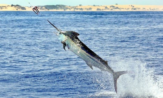 モザンビークのペンバでの釣り旅行