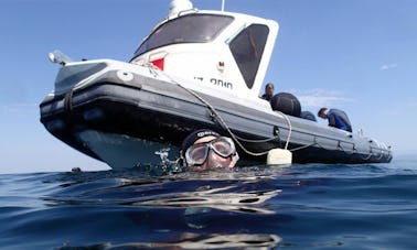 Boat Manta Diving Trips in Piran