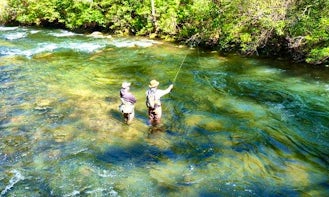 Guide Wade Trips for Trout on Tuckasegee River
