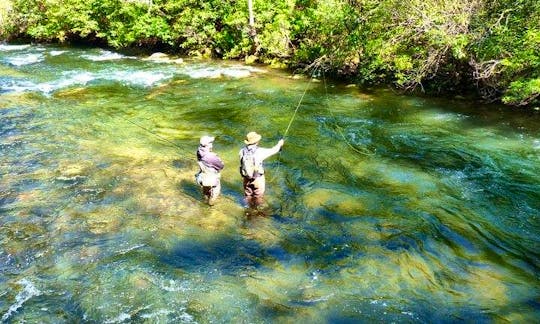 Guide Wade Trips for Trout on Tuckasegee River