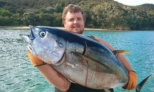 38' Sportfishing Charter in Opua, New Zealand
