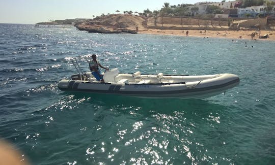 RIB Rental in Sharm El Sheikh