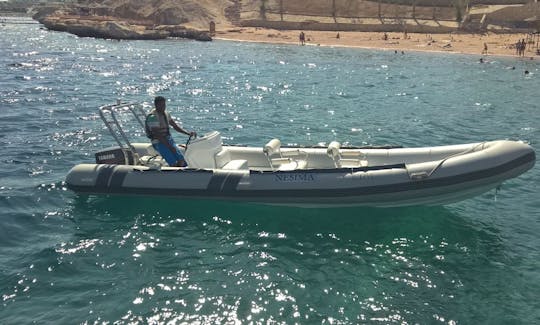 RIB Rental in Sharm El Sheikh