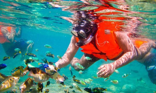 Snorkeling Safari Trips in Vasilikis