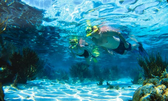Snorkeling Safari Trips in Vasilikis
