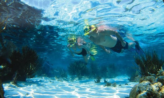 Snorkeling Safari Trips in Vasilikis