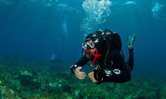 Cours de plongée sous-marine et de spécialités PADI à Vasilikis