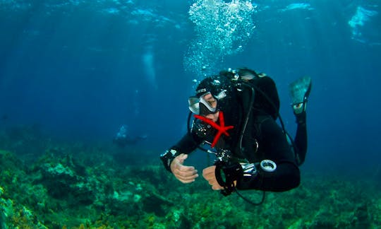 PADI Scuba Diving & Specialties Courses in Vasilikis