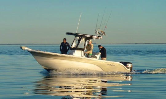 21' Center Console Fishing Trips in Arcachon, France