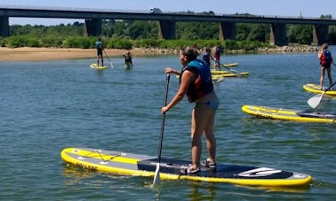 SUP Lessons in Champtoceaux, France!