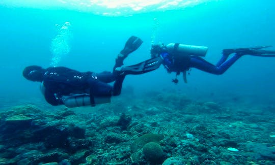 Diving in Mabini