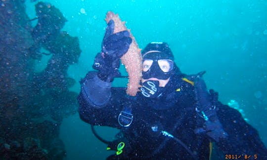 Scuba Diving in Anchorage