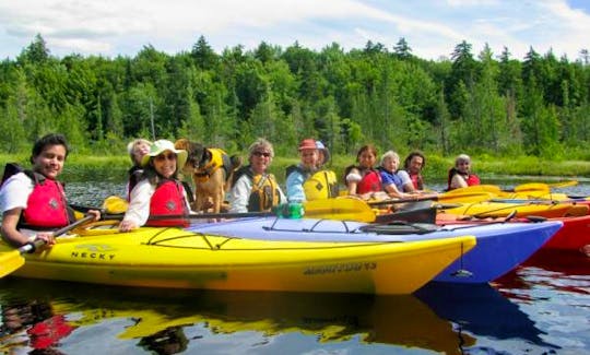 Kayaking Tour On Fourth Lake