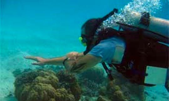 Scuba Diving in Yap, Micronesia