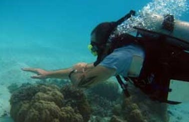 Scuba Diving in Yap, Micronesia