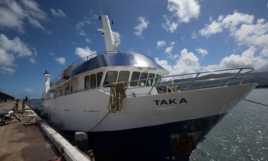 Passeio de barco de mergulho nas ilhas da Flórida