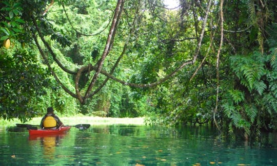 Kayak Tours in Espiritu Santo - Vanuatu