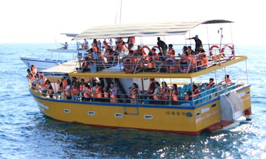 70-Pax Whale Watching Boat Tour in Mirissa