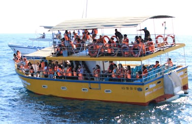 70-Pax Whale Watching Boat Tour in Mirissa