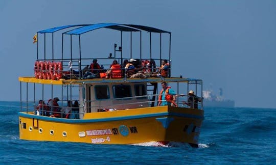 70-Pax Whale Watching Boat Tour in Mirissa