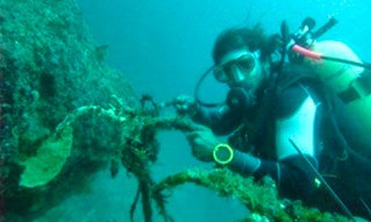 Boat Diving Trips in Aluthgama