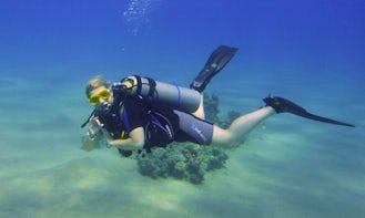PADI Discover Scuba Diving In Egypt