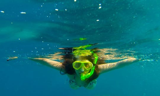Snorkeling Trips in Eilat