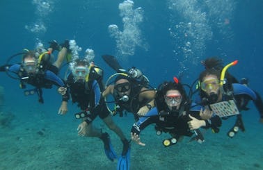 Diving Trips & PADI Courses in Eilat
