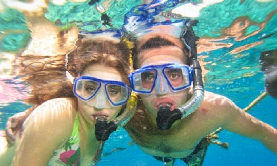 Discover Snorkeling in Eilat