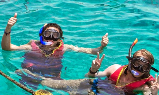 Discover Snorkeling in Eilat
