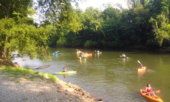 Kayaking Amp Kayak Rentals Near Robertsdale