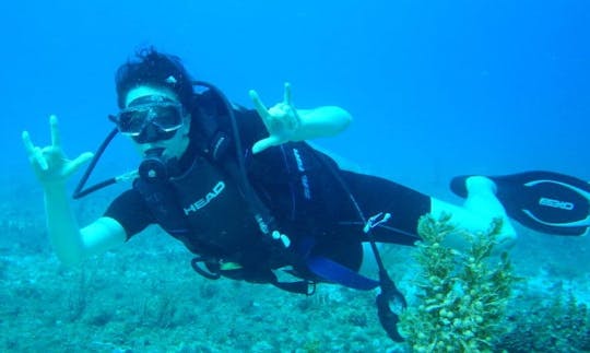 Viajes de buceo en el Mar Muerto