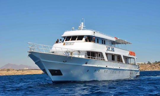 VIP One Liveaboard Diving Trips in Sinai