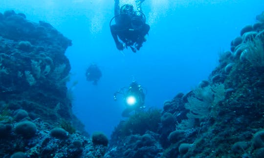 Diving Trips in Hyeres, France