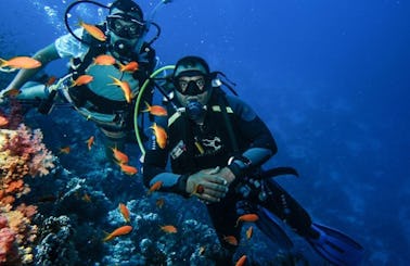 Diving Day Trips in Egypt