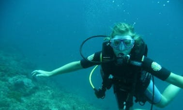PADI Diving Program in Malindi