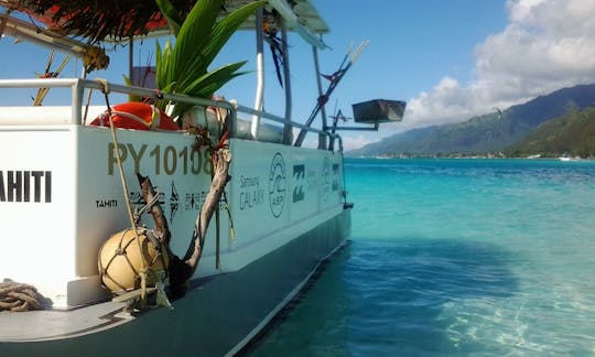 Passeio de barco privado em Moorea