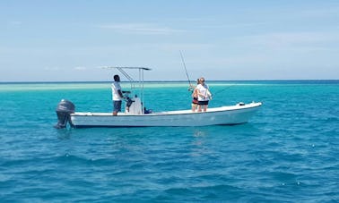 Charte de pêche dans les îles Yasawa