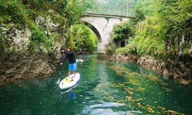 Excursions en paddleboard à Ljubljana