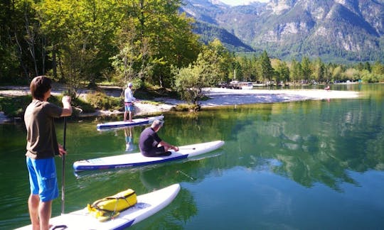 Paddleboard Tours in Ljubljana